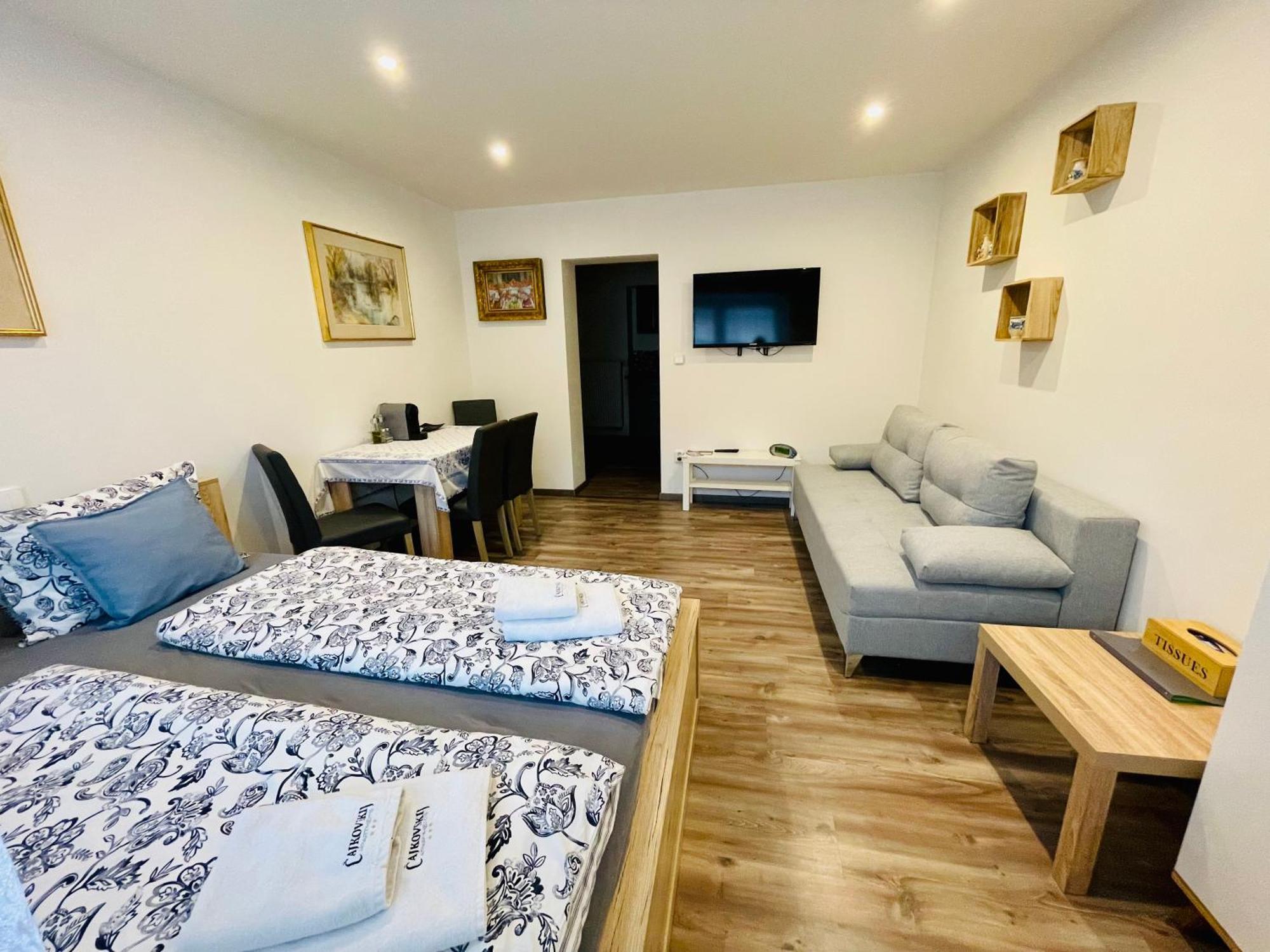 Cajkovskij Apartments Brno-Jih Zewnętrze zdjęcie
