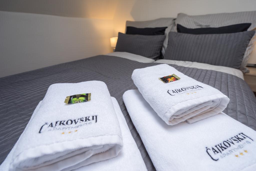 Cajkovskij Apartments Brno-Jih Zewnętrze zdjęcie