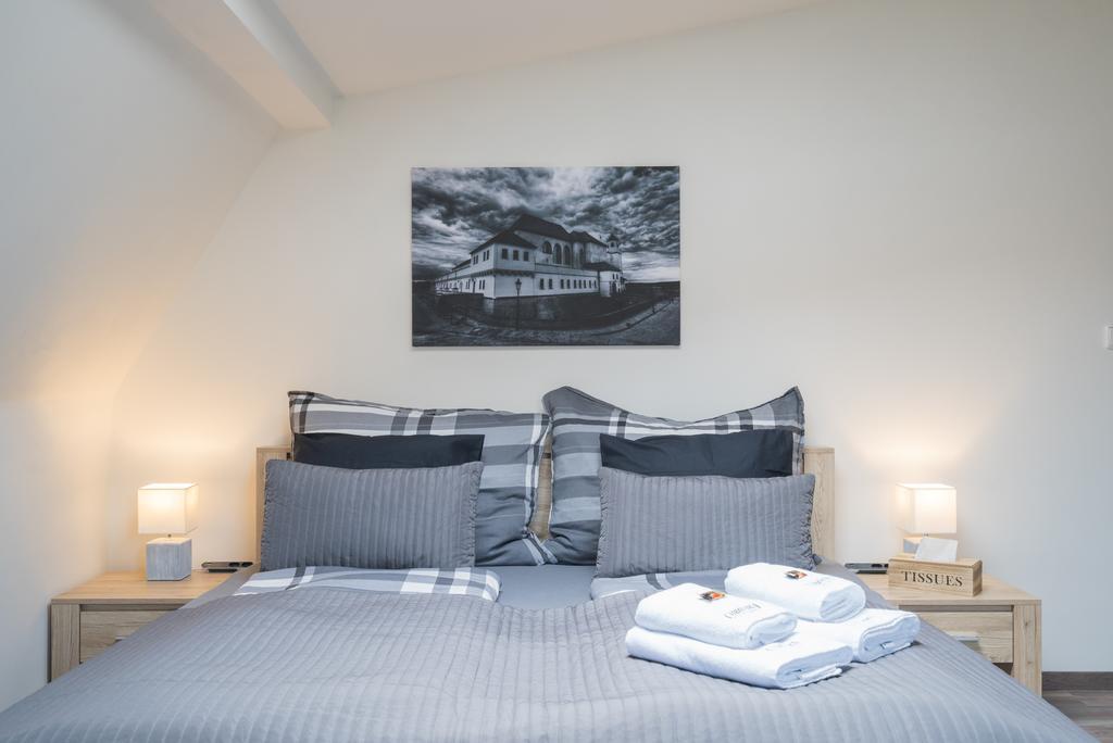 Cajkovskij Apartments Brno-Jih Zewnętrze zdjęcie